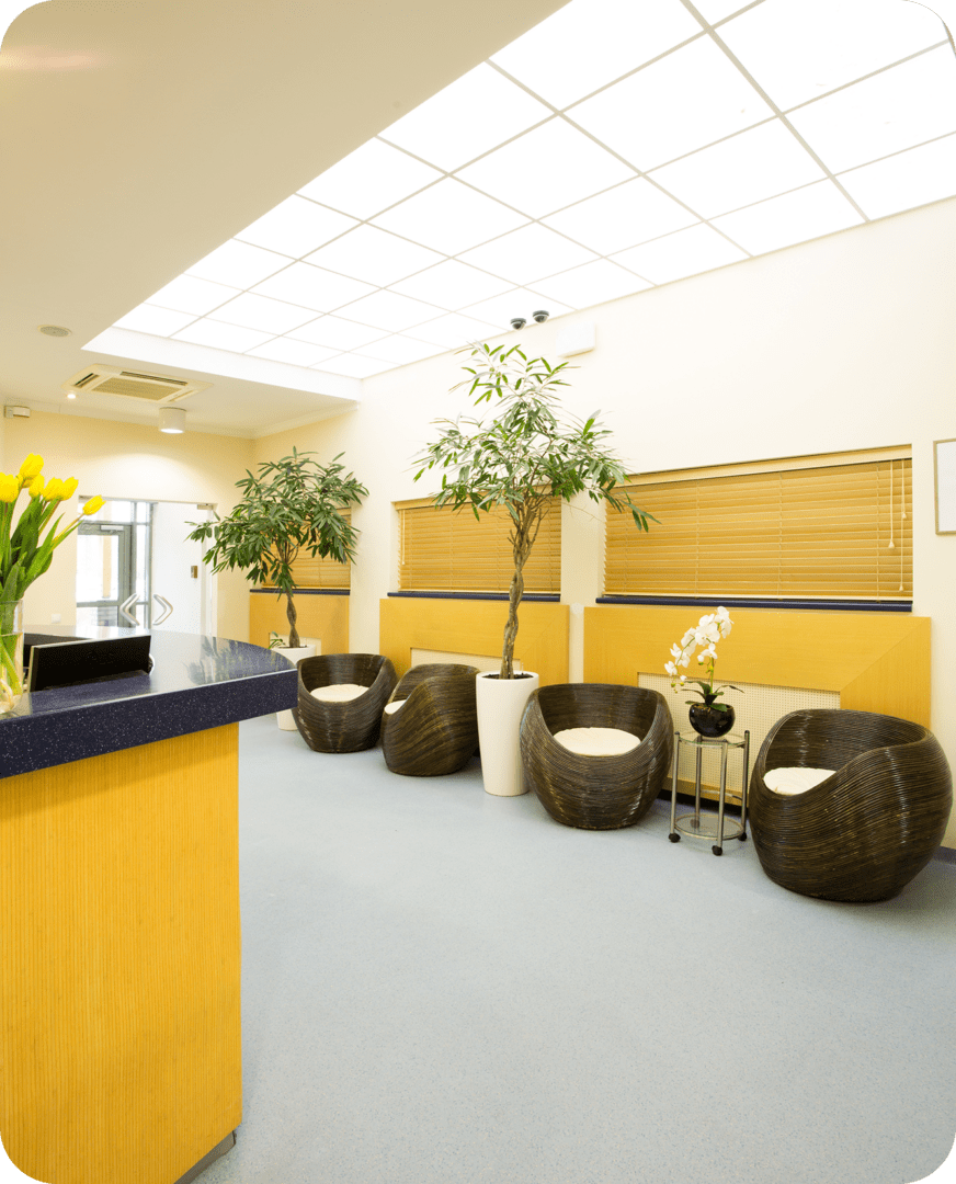 Contemporary office space featuring indoor plants.